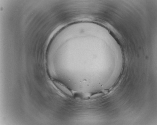 X0000071381240200607142102