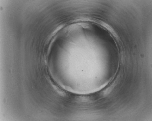 X0000071381241200607142102