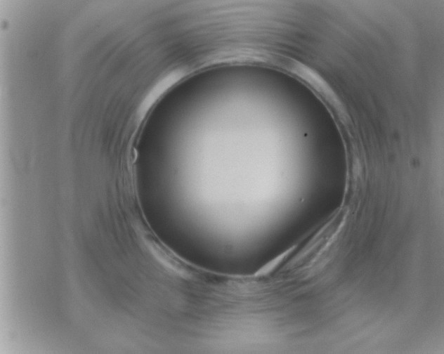 X0000071381242200607142102