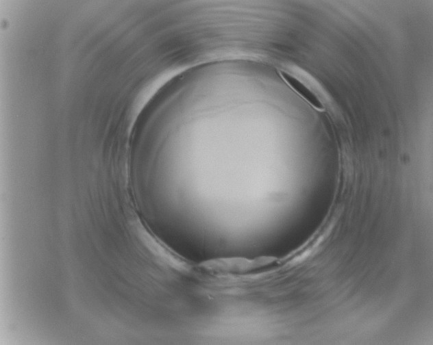 X0000071381244200607142102