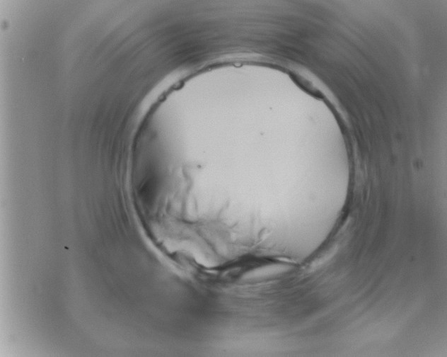 X0000071381245200607142102