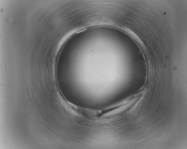 X0000071381246200607142102