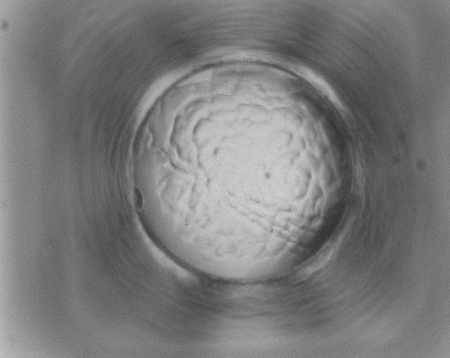 X0000071381247200607142102