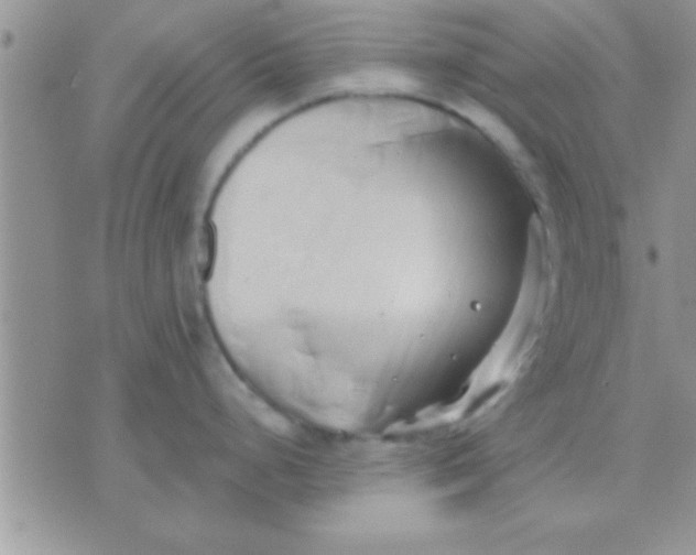 X0000071381248200607142102