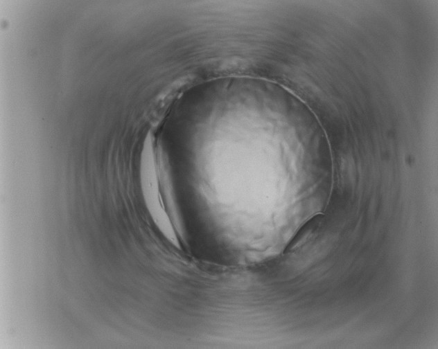 X0000071381250200607142102