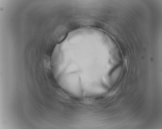 X0000071381251200607142102