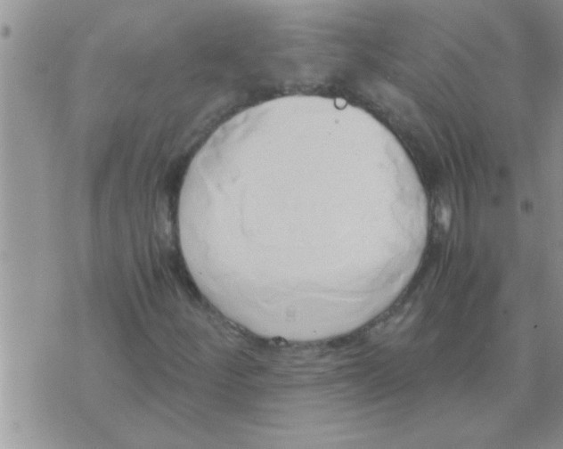 X0000071381252200607142102