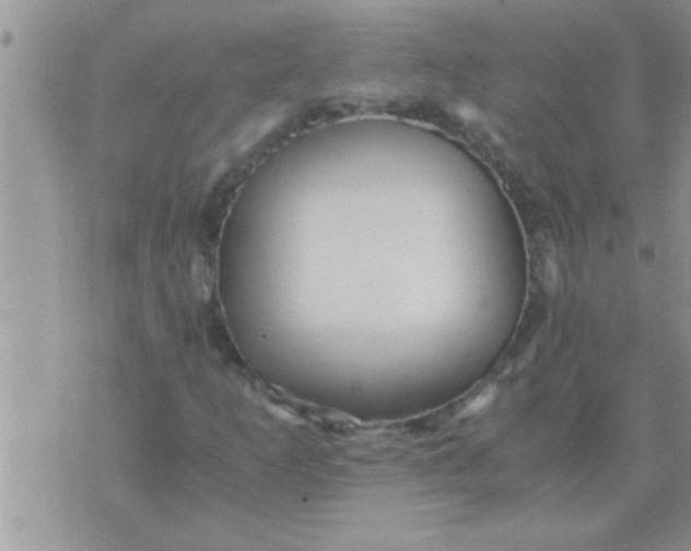 X0000071381253200607142102