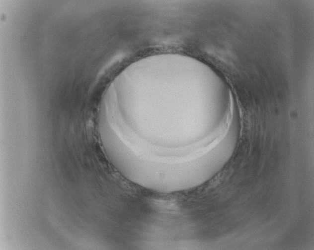 X0000071381254200607142102