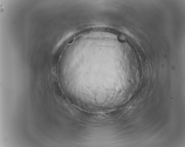 X0000071381255200607142102