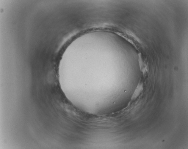 X0000071381256200607142102