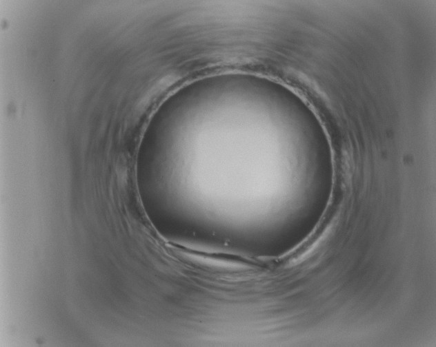 X0000071381257200607142102