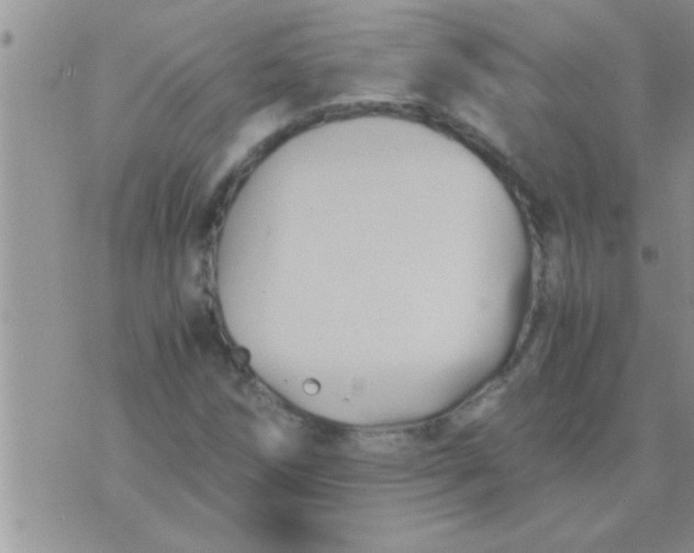 X0000071381258200607142102