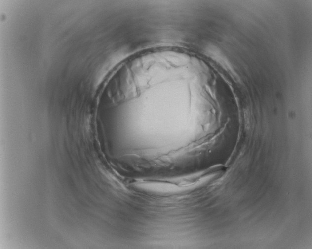 X0000071381260200607142101