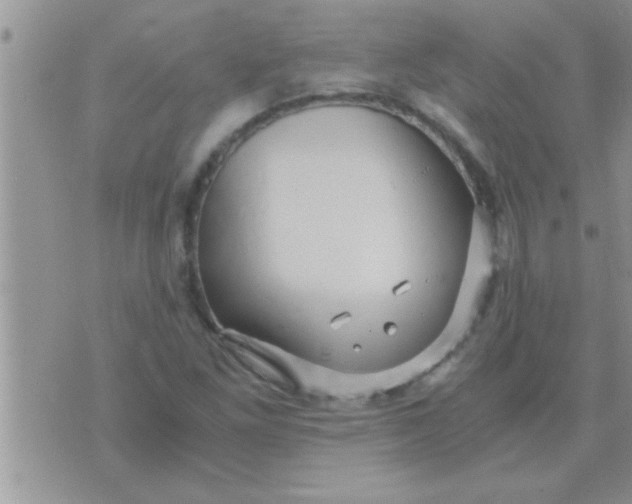 X0000071381261200607142101