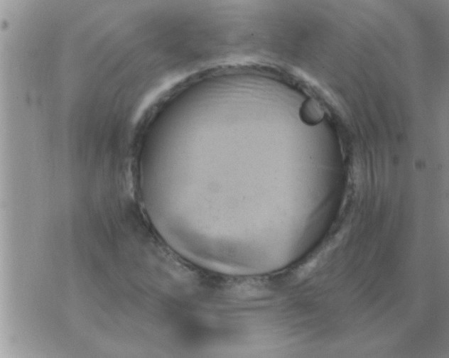 X0000071381262200607142101