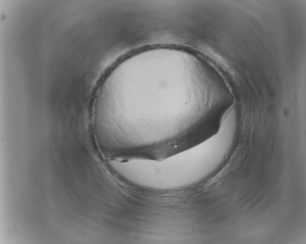 X0000071381264200607142101