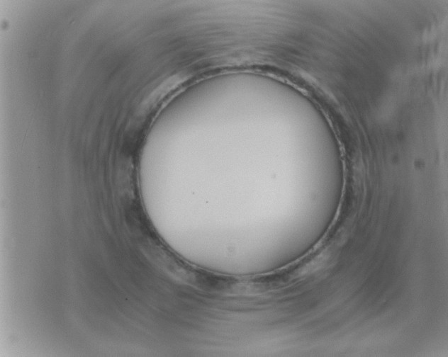 X0000071381265200607142101