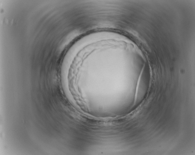 X0000071381266200607142101