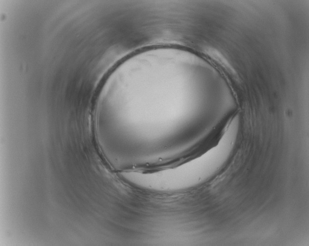 X0000071381268200607142101