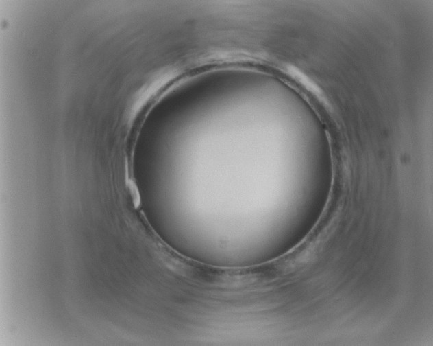 X0000071381269200607142101