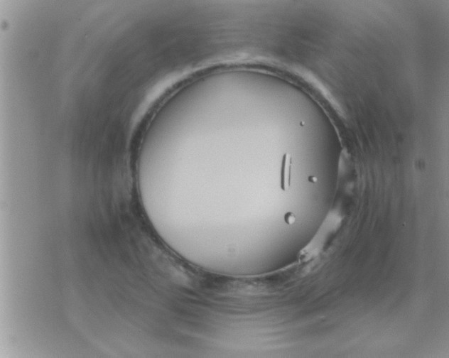 X0000071381270200607142101