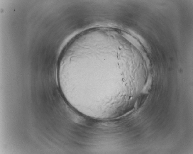 X0000071381272200607142101