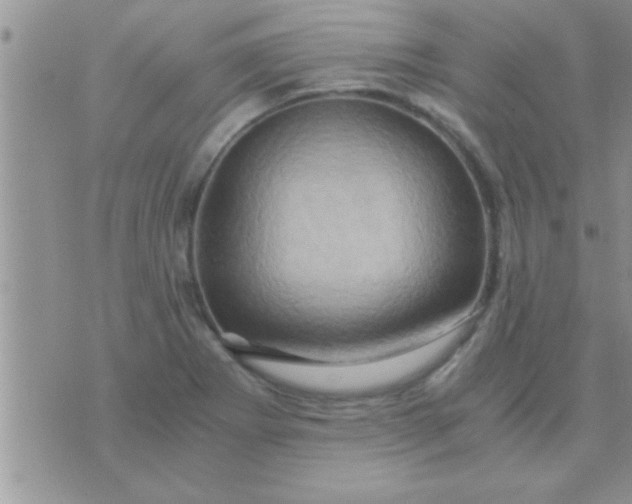 X0000071381273200607142101