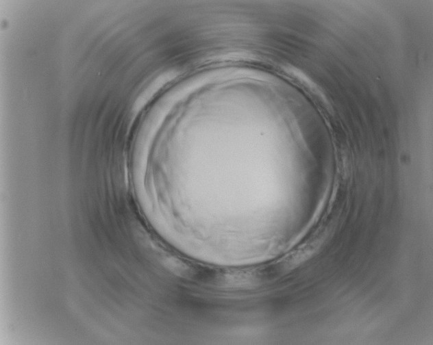 X0000071381274200607142101