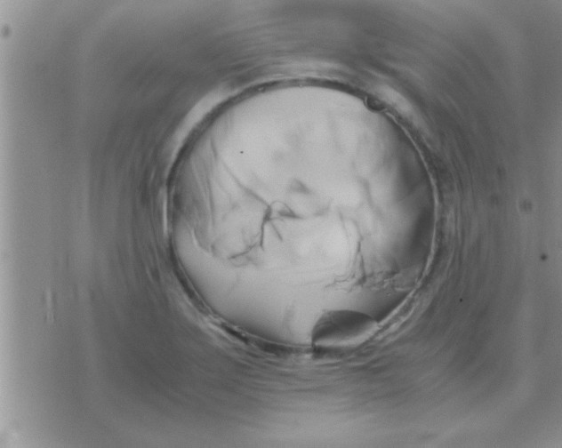 X0000071381275200607142101