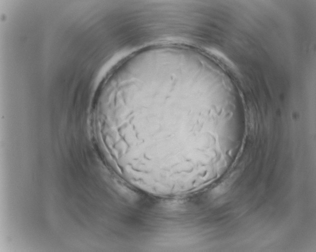 X0000071381278200607142101