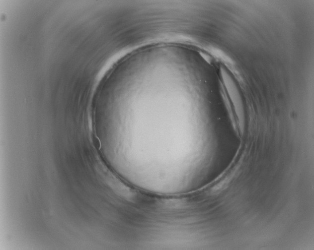 X0000071381280200607142101