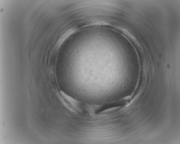 X0000071381281200607142101