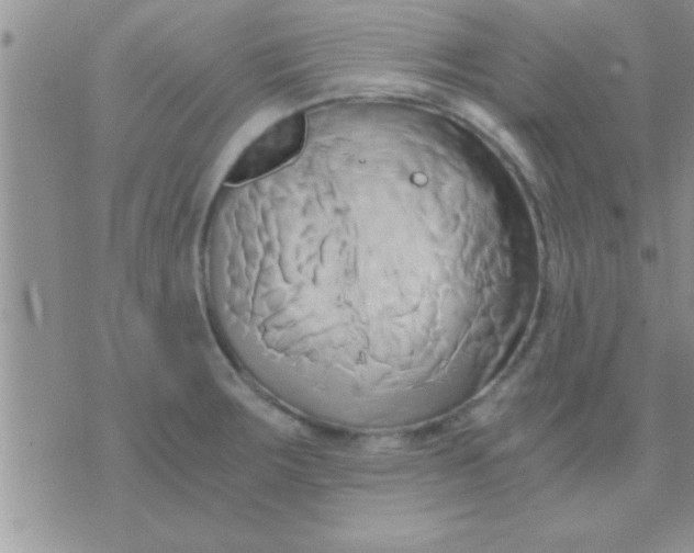 X0000071381283200607142101