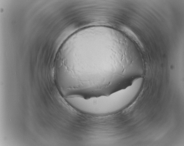 X0000071381284200607142101