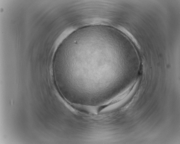 X0000071381285200607142101