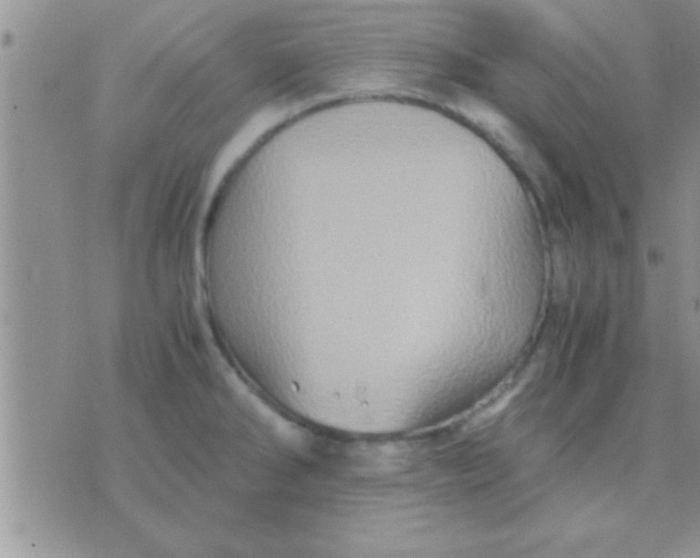 X0000071381286200607142101