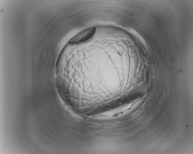 X0000071381287200607142101