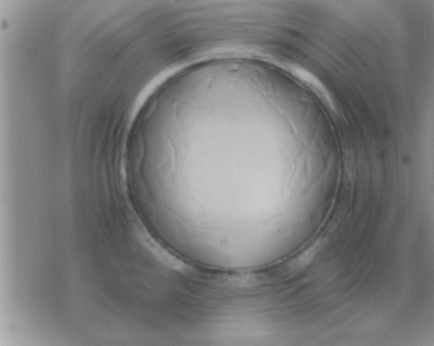 X0000071381288200607142101