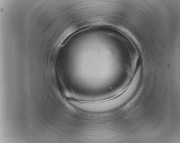 X0000071381289200607142101