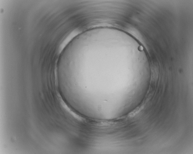 X0000071381290200607142101