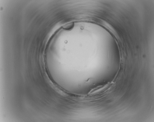 X0000071381291200607142101