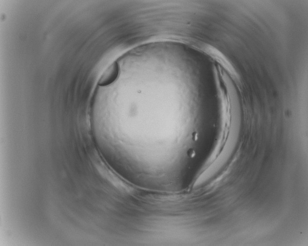 X0000071381292200607142101