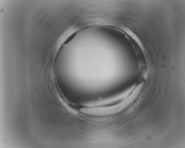 X0000071381293200607142101