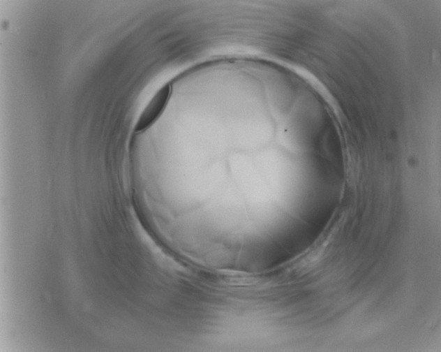 X0000071381295200607142101