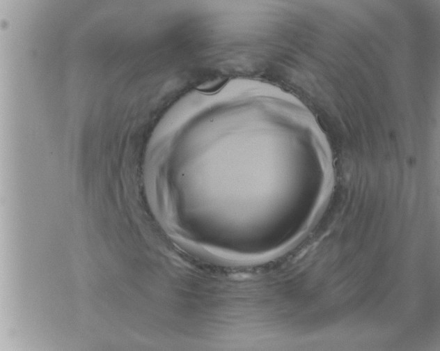 X0000071381297200607142100