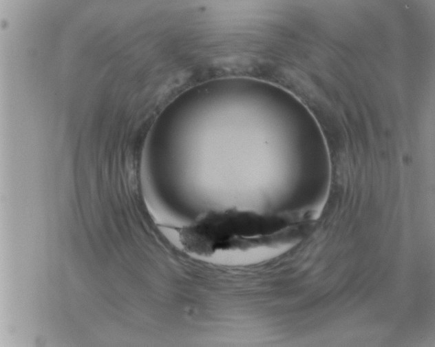 X0000071381298200607142100