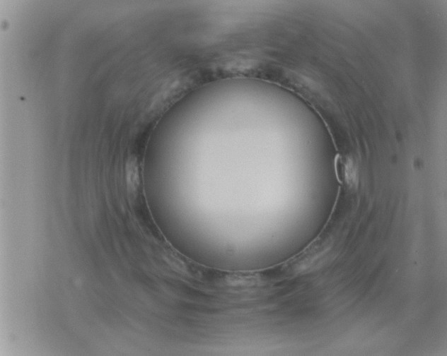 X0000071381299200607142100