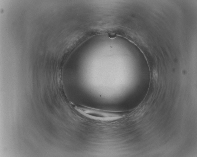 X0000071381300200607142100