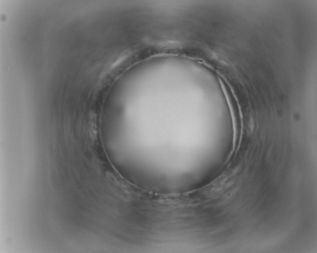 X0000071381301200607142100